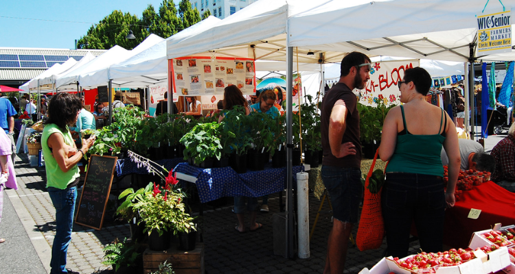 SNAP Market Match Benefits expand at farmers markets