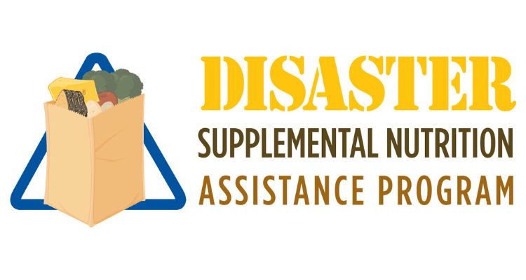 In case of a disaster, requests D-SNAP