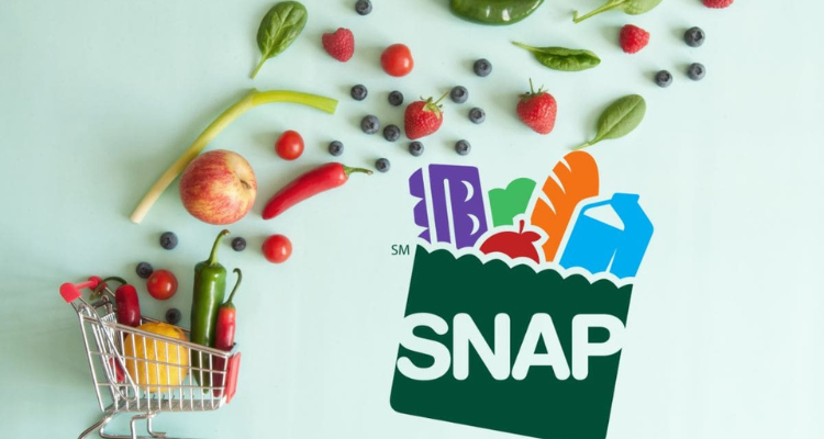 Food Stamps: 4 Major Changes to SNAP Coming in 2024