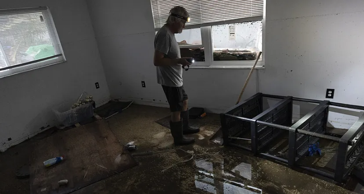 Food Stamps in Florida: Assistance available for those affected by natural disasters