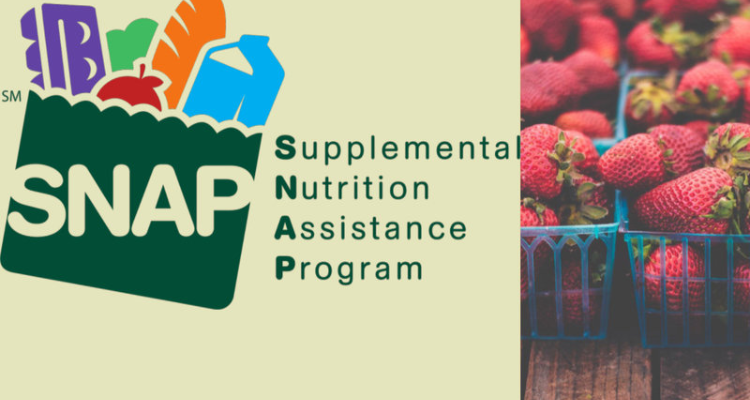 SNAP Program: When will the next food stamp payment arrive in your state in June 2024?