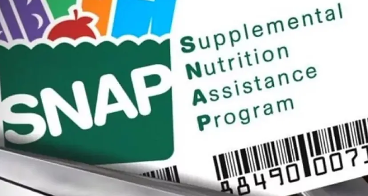 Texas SNAP Benefit Delivery: Who will receive May 2024 food stamps this week?