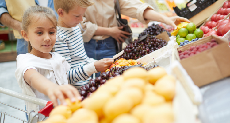 Nonprofit organizations urge Florida to join the program