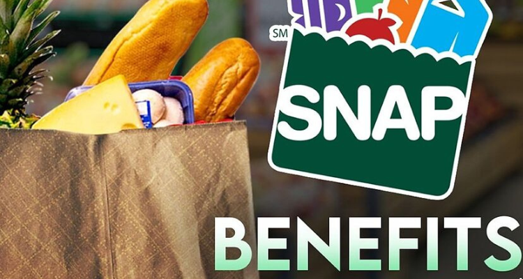 SNAP 2024 Benefits