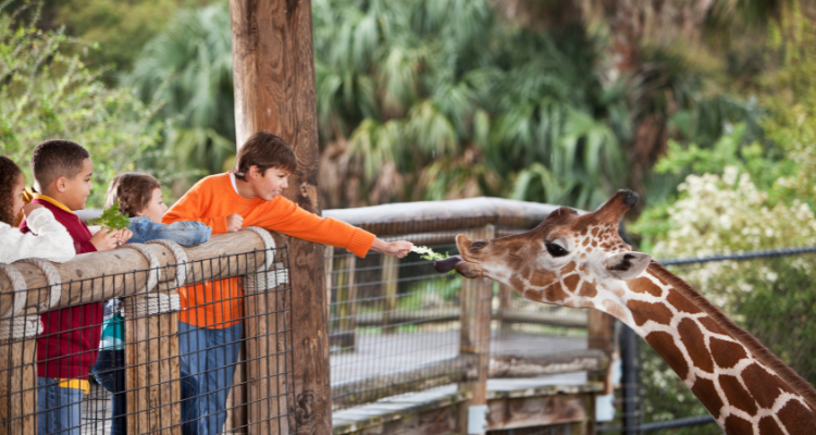 FREE Admission to Over 25 Zoos in 2025 with Your Card!