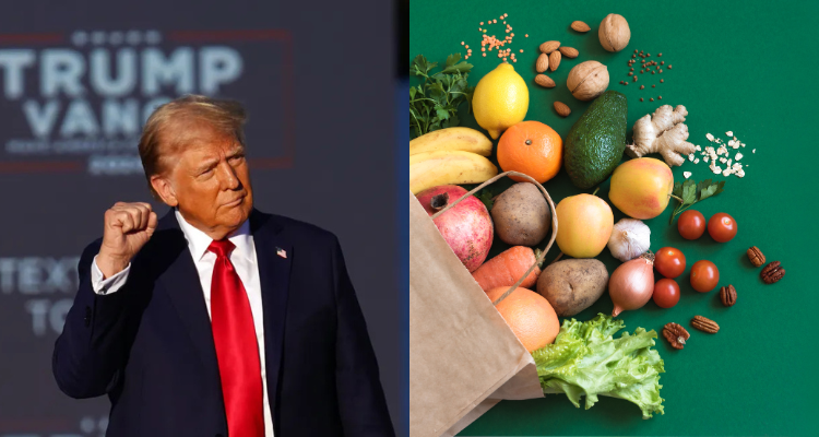 The uncertain future of SNAP benefits under the possible presidency of Donald Trump
