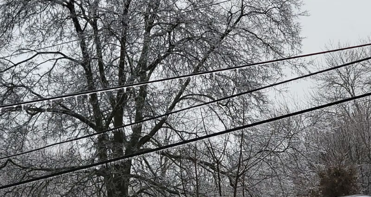 Replacement SNAP benefits for those who lost food due to power outages